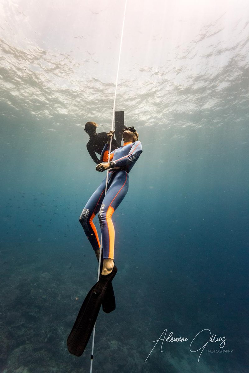 BCDLembongan's tweet image. Buddy up! It&apos;s time to Freedive 🐬👌🏽

#bluecornerfreedive #bluecornerdive #padifreedive #paditravel