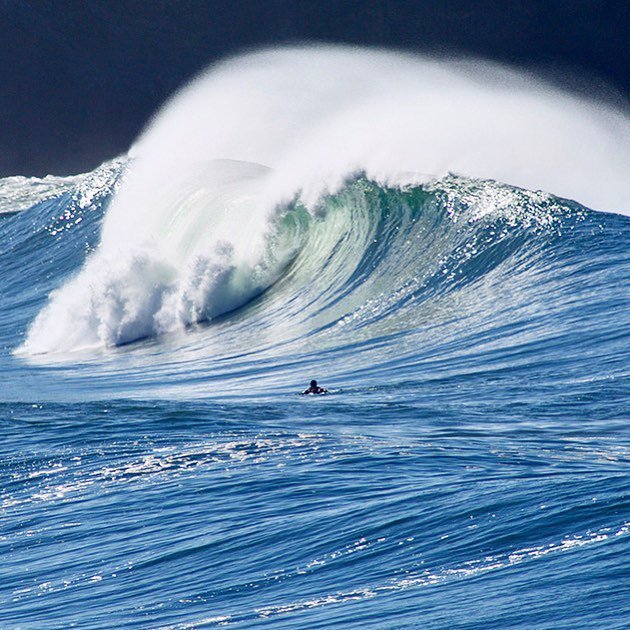 805SEA's tweet photo. Life in the "Golden State" is rarely dull, and sometimes more vibrant than you can imagine... #california #goldenstate #winterwaves #inbetweendays #surfermagazine #stabfullframe #canon #805SEA | 📷 @montecrofts | https://t.co/x6xkROMjz4 https://t.co/UCZQmkhWFB