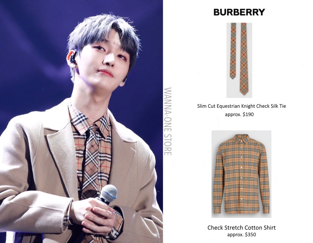 check stretch cotton shirt