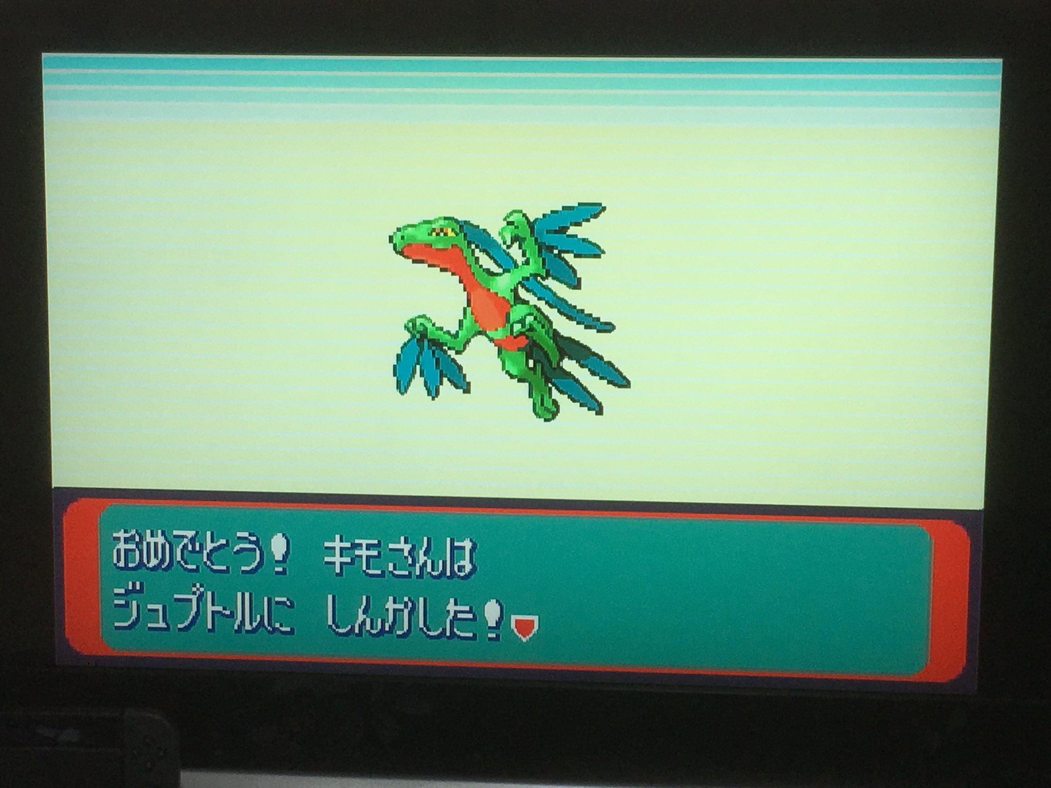 8bitter Twitterren うちの肝さんの様子が ジュプトルに進化してしまった 前の方が可愛かったのに ポケモンサファイア T Co 22e4dquypd Twitter