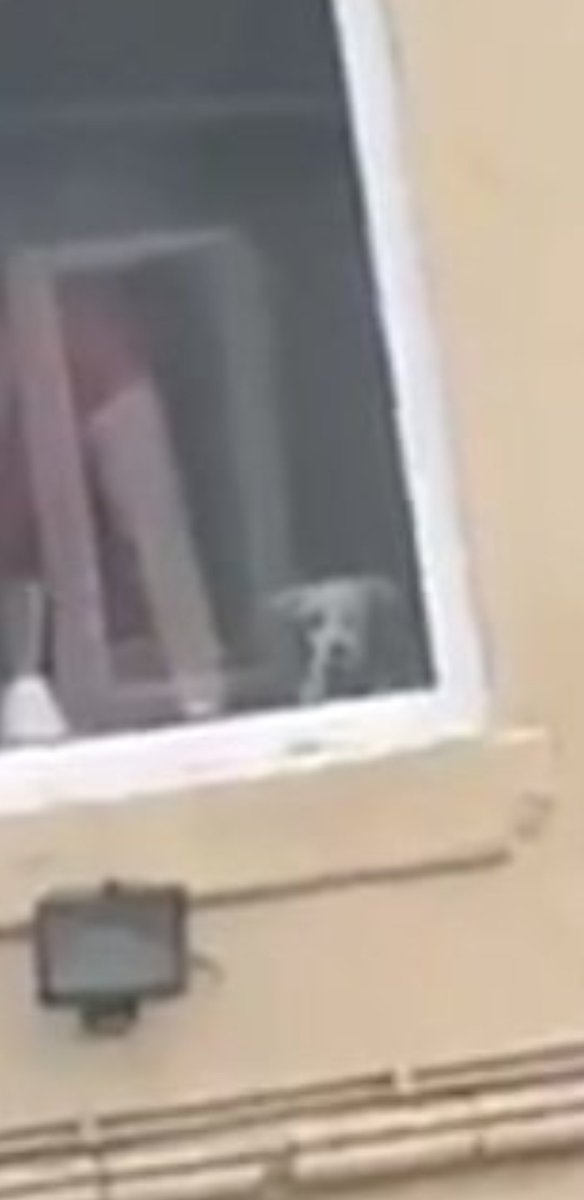 HubertHuman's tweet image. 