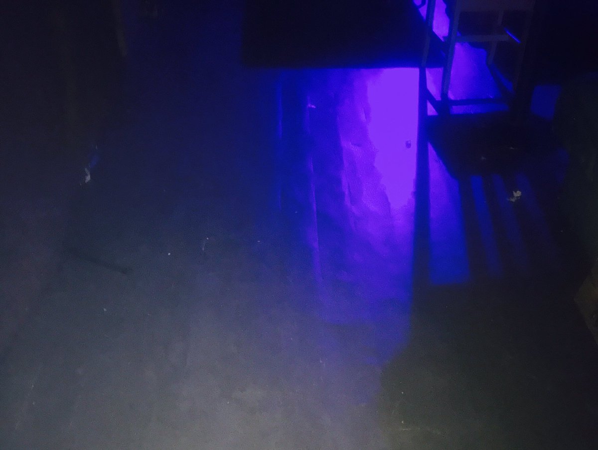 alicia262girl's tweet photo. Seattle techno banging @Mr_Pool_Water #seattletechno #poolwater https://t.co/tZG9MjLriK