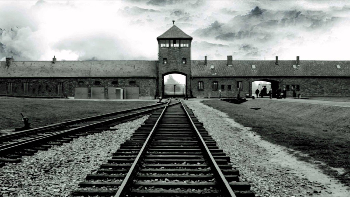 citiamo's tweet photo. La Memoria è l’unico vaccino contro l’indifferenza.

Liliana Segre

#giornatadellamemoria
#27gennaio https://t.co/3gUdeSxHgs