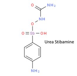 17.3/5 Though various forms of treatment existed but they did not help2reduce death rate&many had serious side-effects.Working in the most adverse of conditions wo facilities like gas burner,water tap or bulb,he disc a potent agent against Kala-azar, which he named Urea Stibamine