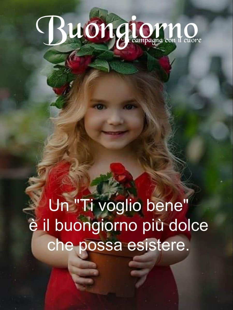 Pin Di Sina Su Buongiorno Buongiorno Buongiorno Bellissimo Buongiorno Immagini