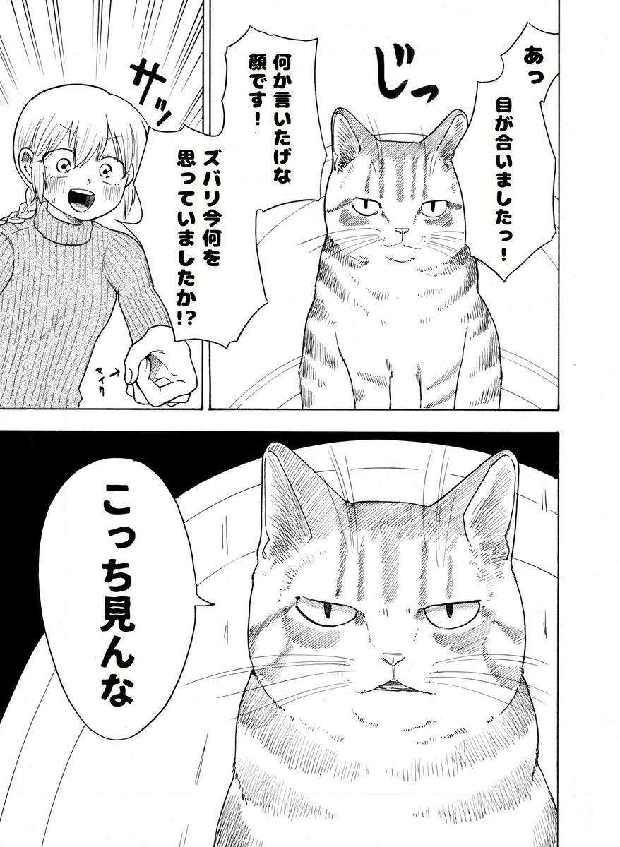 猫とお姉ちゃんの漫画 その9
トイレの時のかお 