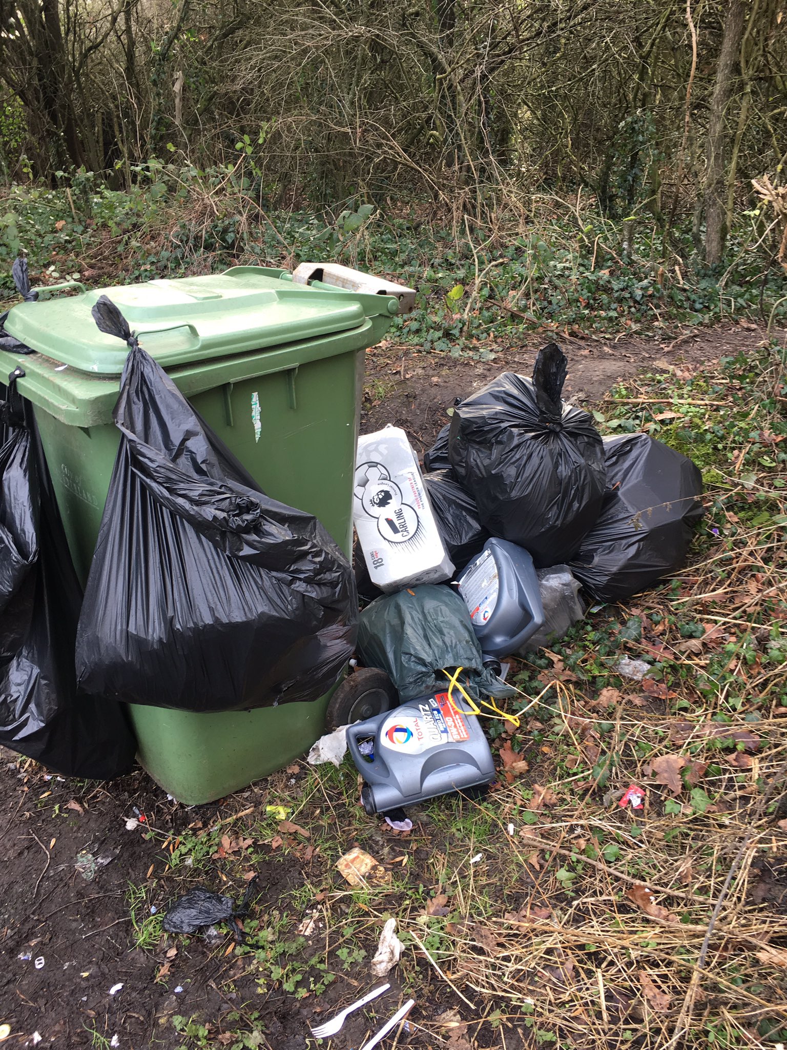 karen tindle on Twitter on Sunderland Council empty the bins…