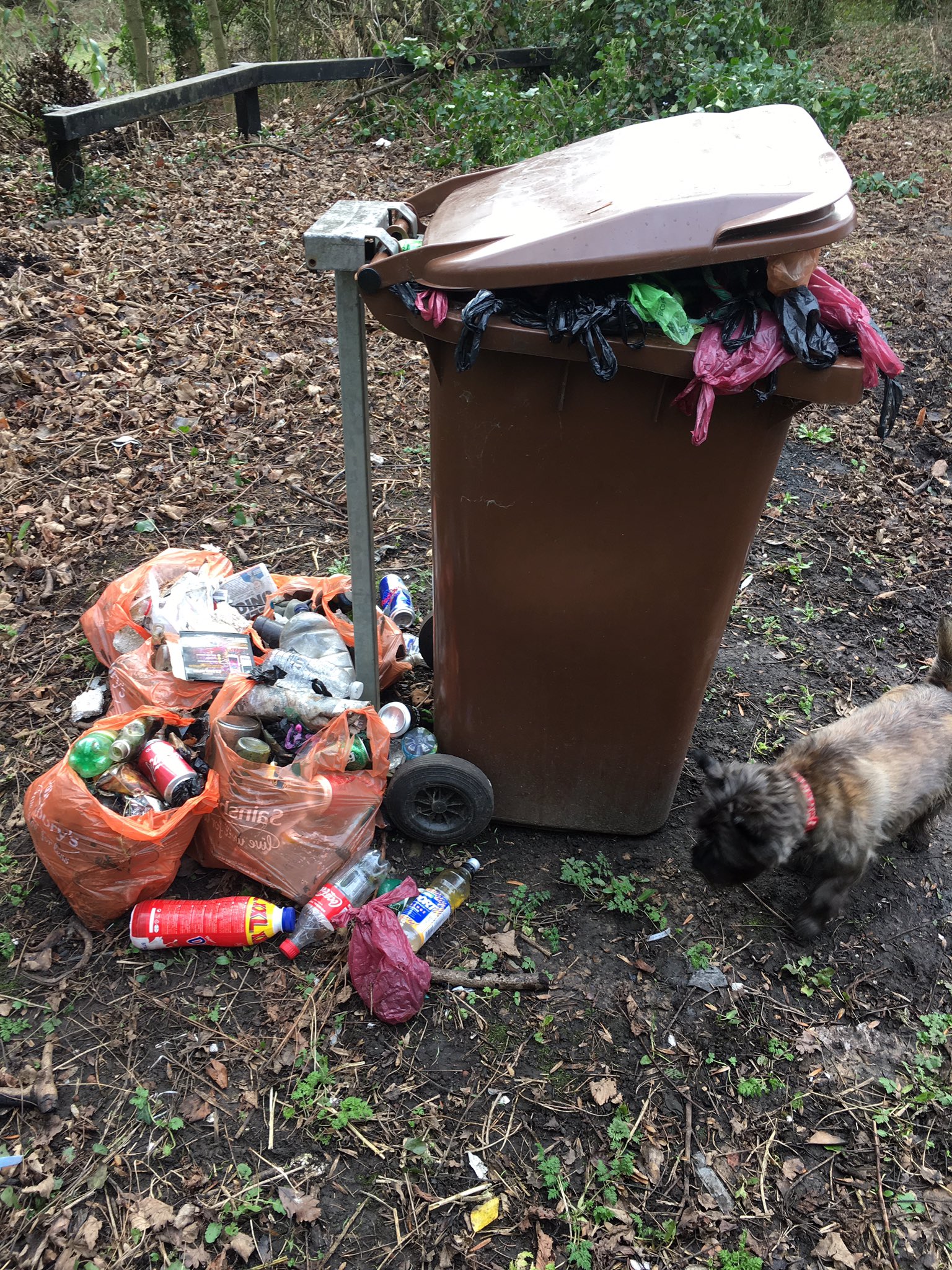 karen tindle on Twitter on Sunderland Council empty the bins…