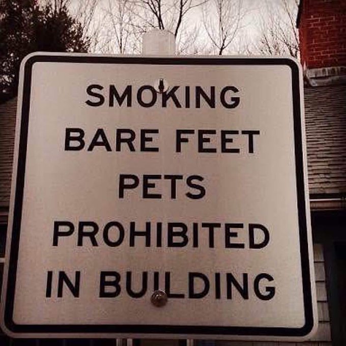 YouHadOneJ0B's tweet photo. What about vaping monkeys in heels? https://t.co/cFBhlQlPKJ