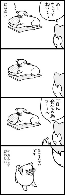 遠いはずだが 
