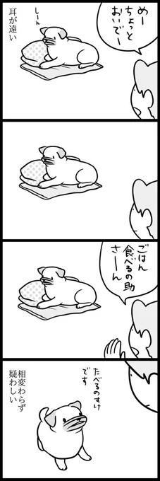 遠いはずだが 