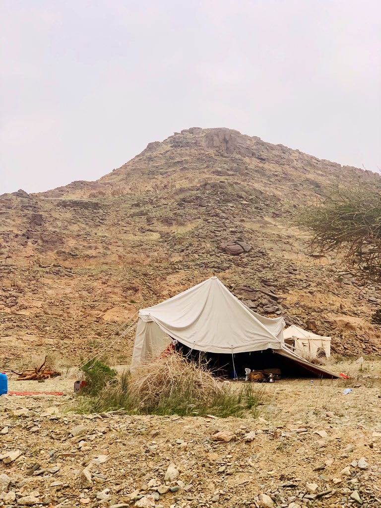 فهمت جيدًا الجانب الشاعري 
بقول ميسون بنت بحدل الكلبية القضاعية زوجة معاوية بن أبي سفيان:
،
لبيتٌ تخفقُ الأرياحُ فيهِ...
أحبُّ إليّ من قصرٍ منيفِ ✨
،
إنها النزعة للجمال الحقيقي ، والإحساس الحر بالوجود
