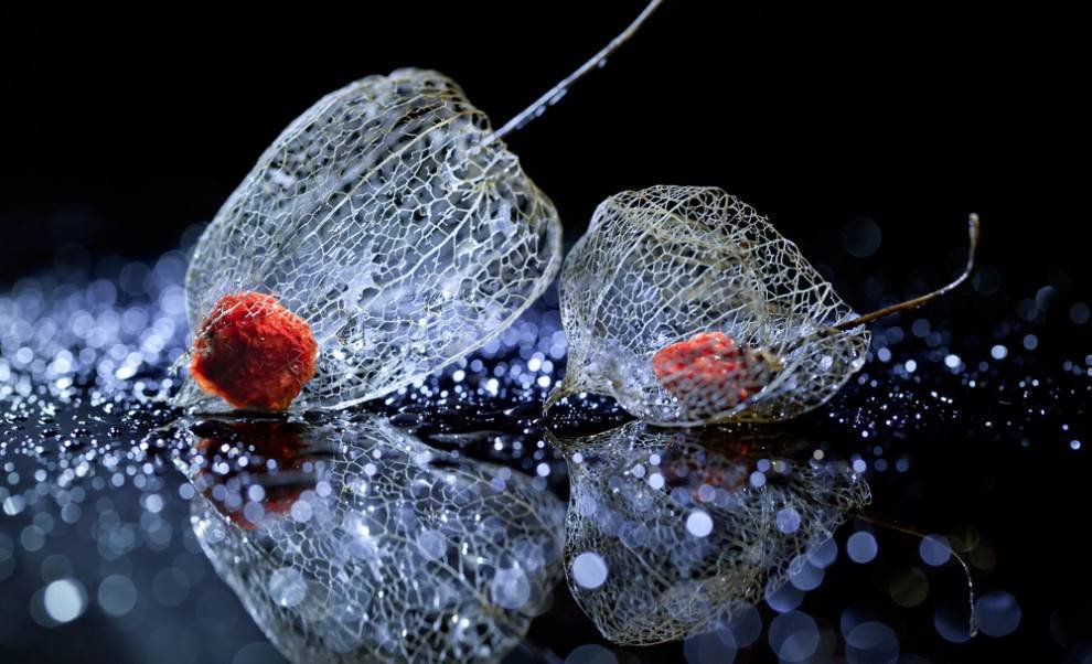 눈에 보이는게
다가 아님을 잊지말고

귀에 들리는게
전부가 아니라는걸 기억하고

들어나 있는게
다 맞는게 아님을 염두에두고

그 넘어에 있는 것들에
귀를 기우리고

그 안에 담겨 있는 것들을
볼수있는 깊이가 필요 합니다