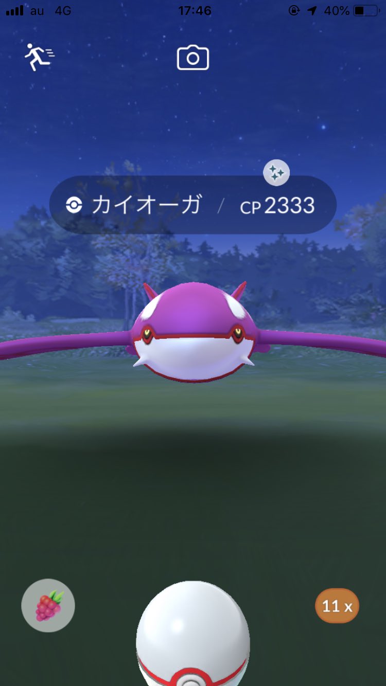 えふ カイオーガ色違いゲット 個体値もいい感じで嬉しい ポケモンgo カイオーガ 色違い T Co Txz3cj5lah Twitter えふ カイオーガ色違いゲット 個体値もいい感じで嬉しい ポケモンgo カイオーガ 色違い T Co Txz3cj5lah Twitter