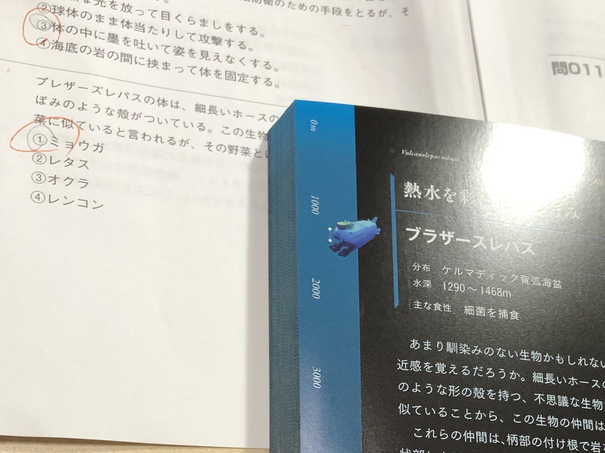 深海生物検定 深海生物検定