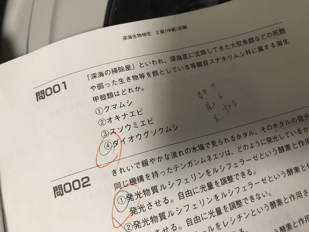 深海生物検定 深海生物検定