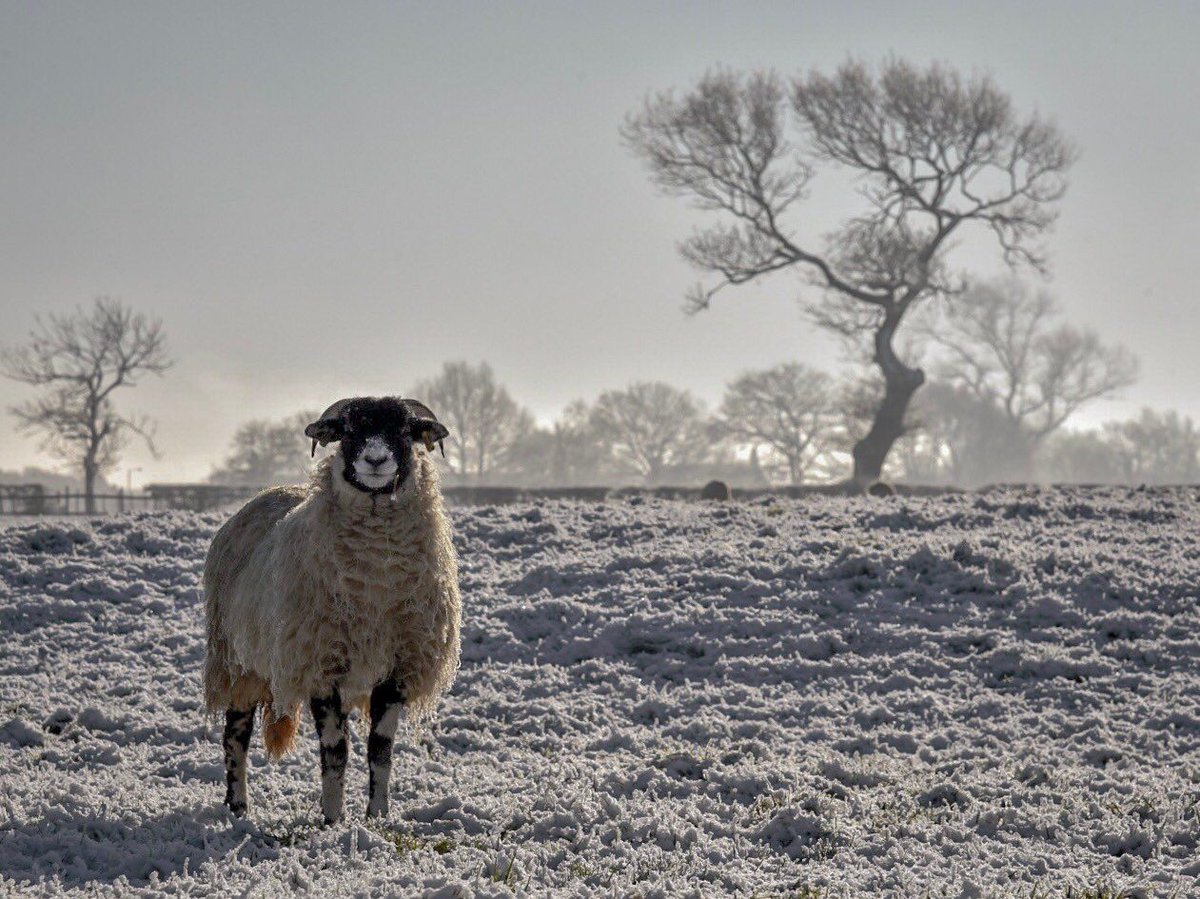 StormHour's tweet image. Cold snap, Lancashire, England ~ Thanks to Wendy Love @wendylov5 #StormHour