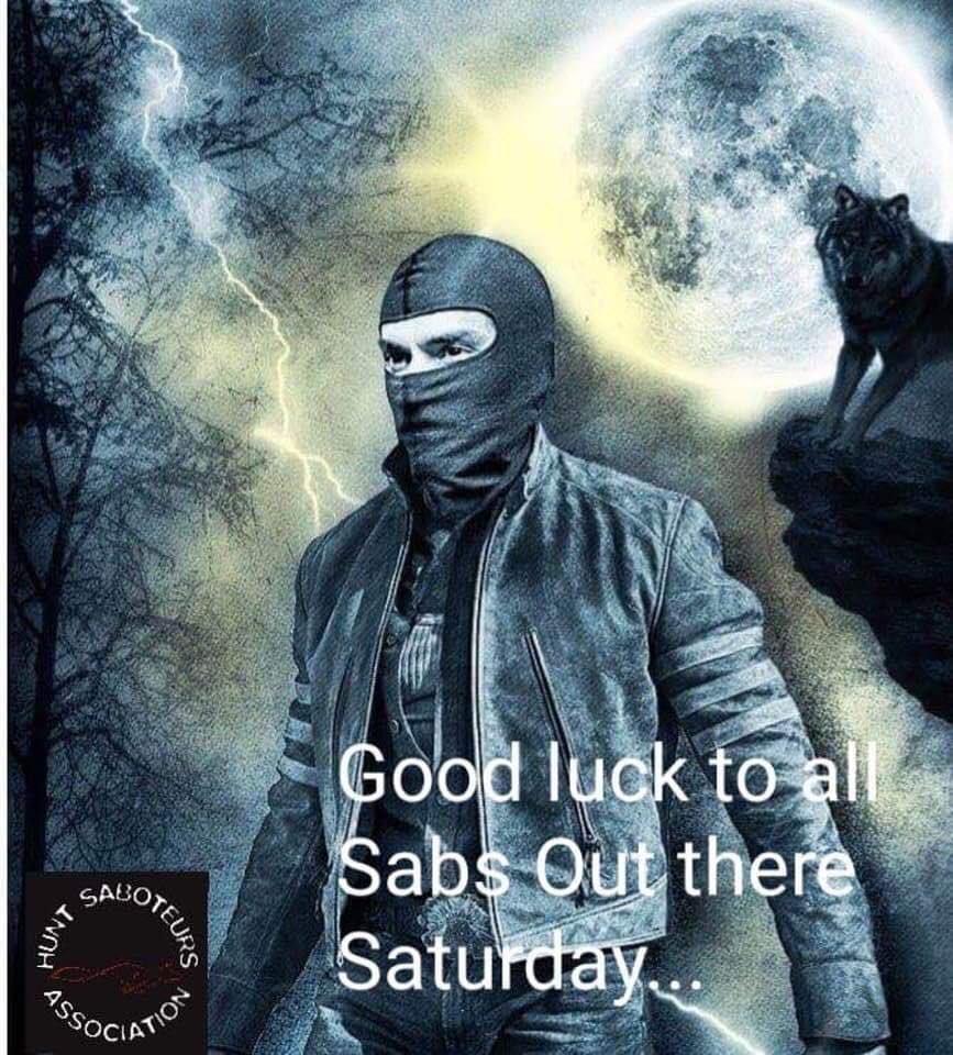 SallyCooper7372's tweet image. To all the brave Sabs doing their very best to protect our wildlife against #Foxhunting #huntingwithdogs #Huntscum