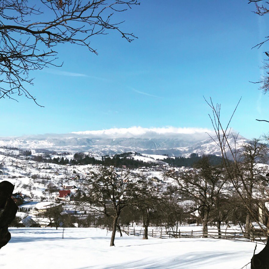 marianaariton's tweet image. #vizzing