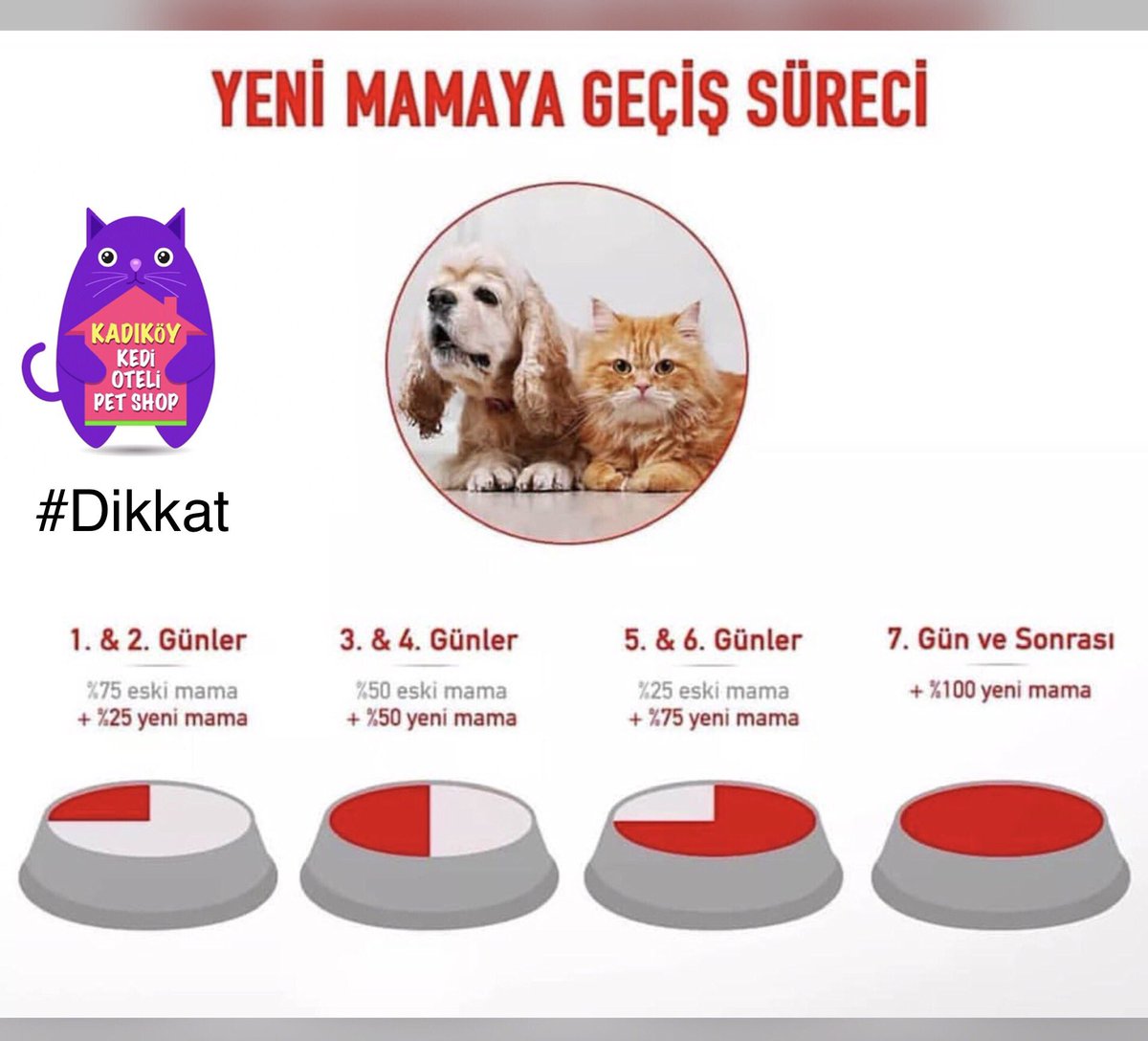Aldığınız yeni mama dostunuzun ilgisini çekmiyorsa #dikkat