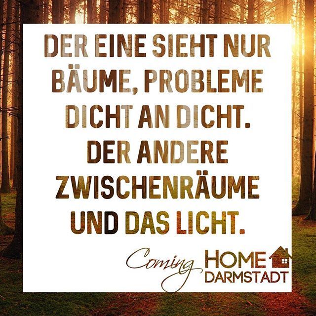 Get Der eine der andere For Free