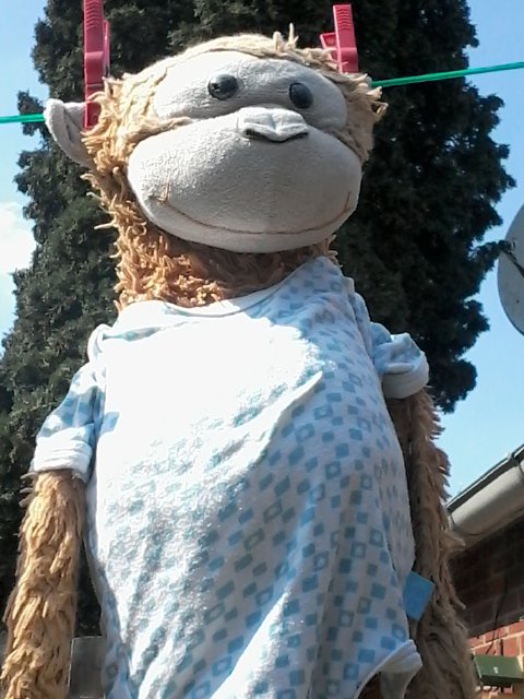 amberubeda (@ubeda17) on Twitter photo 