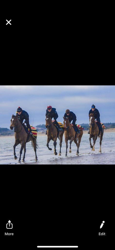 Ado McGuinness Racing tweet media