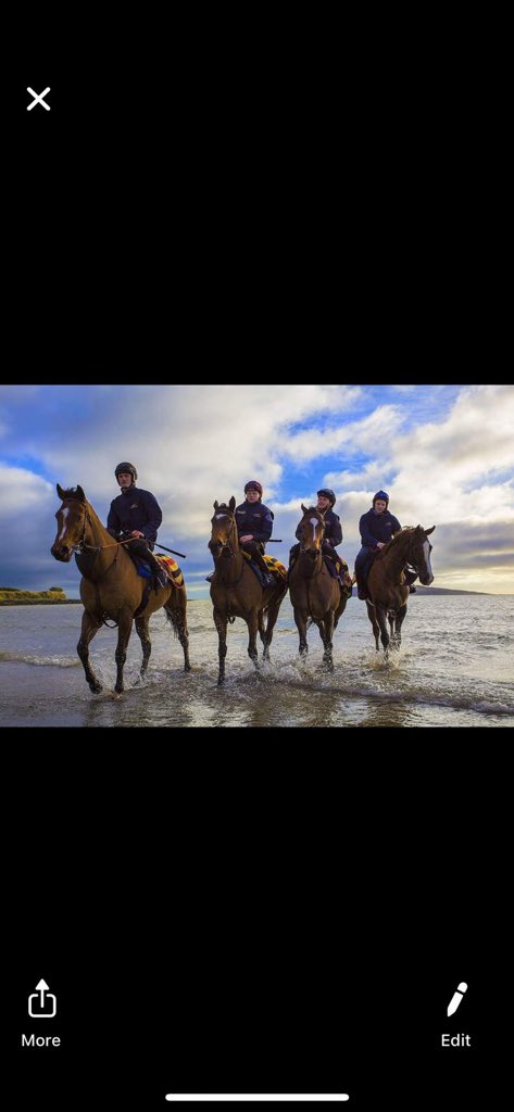 Ado McGuinness Racing tweet media