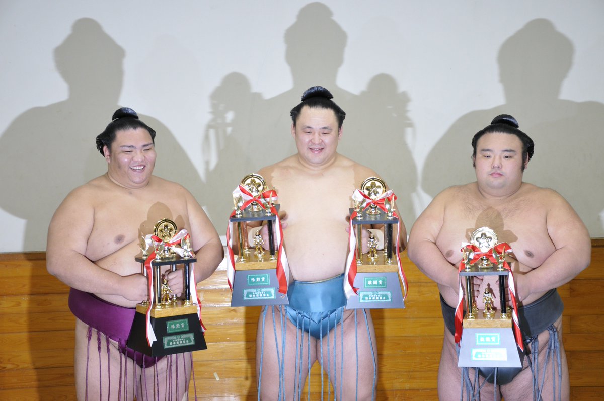 大相撲 相撲 敢闘賞 受賞盾 三賞 (大相撲春場所新番付 先場所 大相撲 相撲 敢闘賞 受賞盾 三賞 (大相撲春場所新番付 先場所