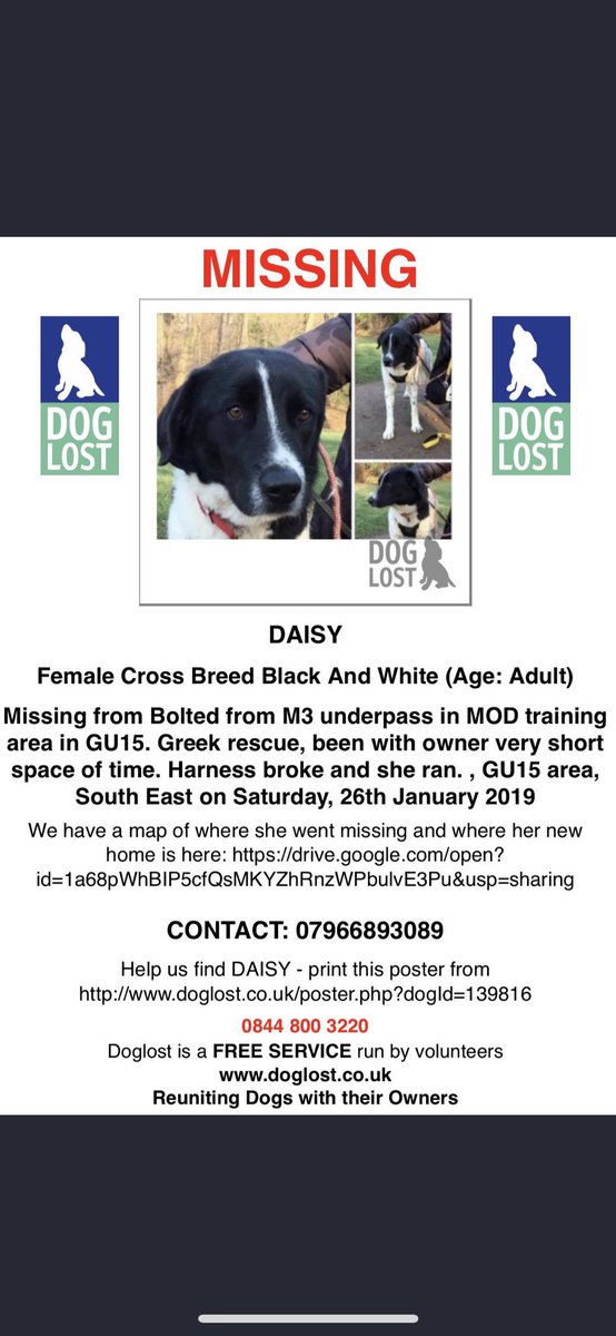 LostPals's tweet photo. #daisy #missing #dog #surrey #camberley #heatherside PLEASE RT! Do NOT approach if seen. She's very nervous. https://t.co/1RAp3463jx