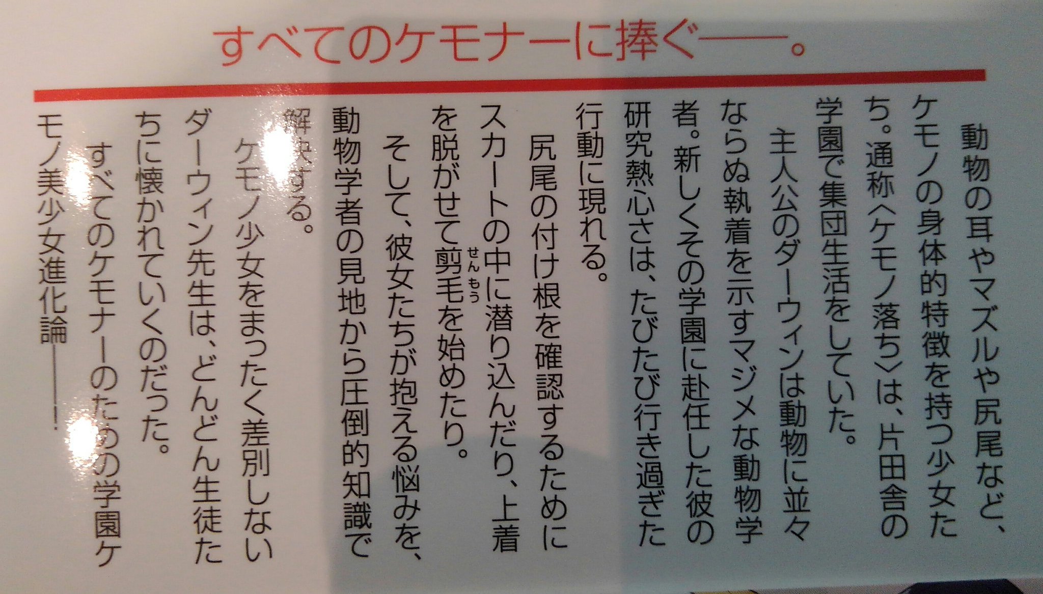 牛マンボウ博士 仕事募集中 固定ツイート参照 Su Twitter 本屋うろうろして気になった新刊ラノベを買ったのだが 重い論文と違ってｻｸｻｸ読めた さすがﾗﾉﾍﾞ けものフレンズ考察班が好きそう ケモノ化した少女を動物行動学的視点から解説してて奥が深く とりあえず