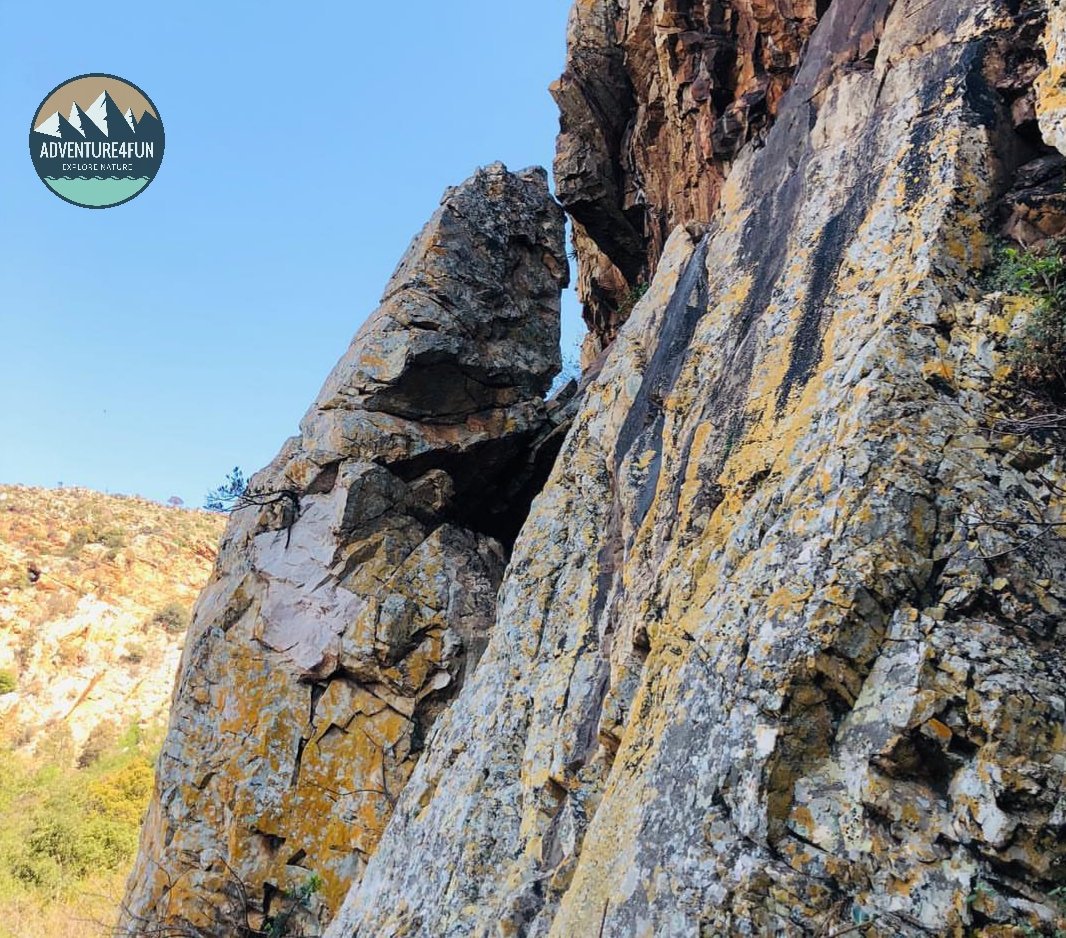Adventure4F's tweet photo. @RustigGetaway
#trail #hiking #hikingadventures #adventure #adveturetime.#hikinggear #Hiking2019 #hiking #hikingadventures #Adventure4fun #hikingadventures #hikingwithfriends #hikingbc #hikingtheglobe #hikinglifestyle #hikingtrailikinglife #hikingviews #hikingday https://t.co/QJcmcF5Etm