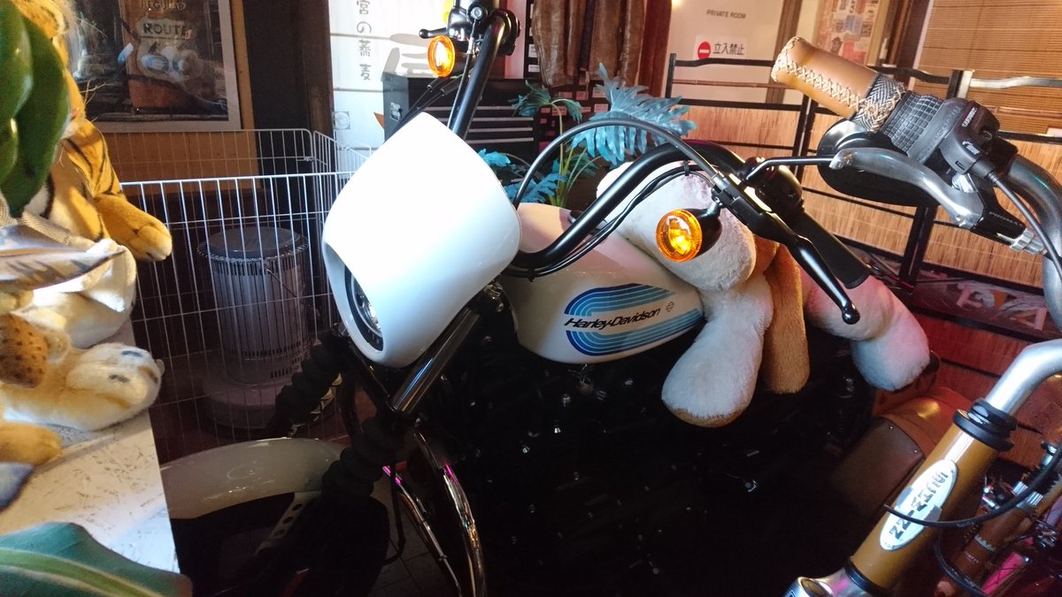 Zin50698814's tweet photo. #Indian_scout
#防府天満宮 https://t.co/Poec69utyH