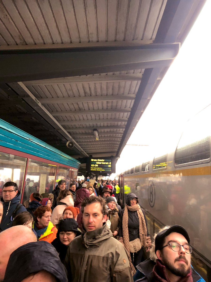 Kristof Calvo tweet media