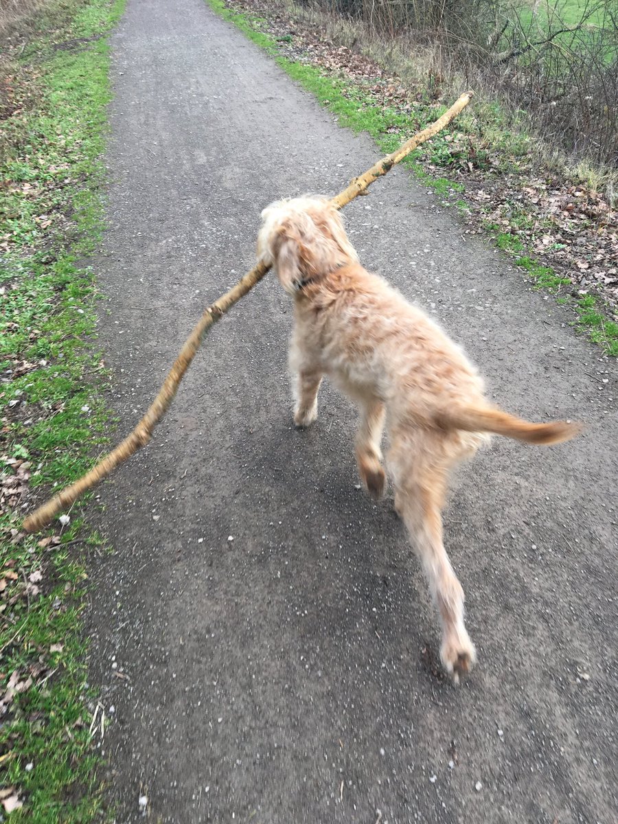 mcb3's tweet image. Somewhere in the Ilmer triangle #wrongpath #lost #bigstick