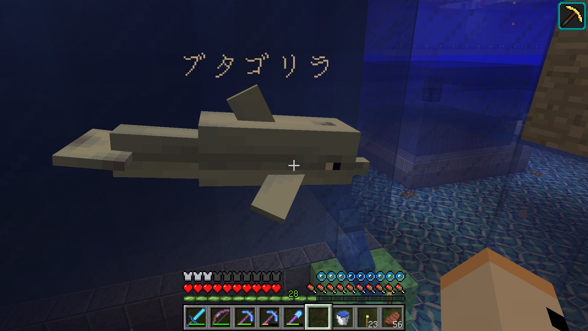 のがみマオ はじめ人間オクタゴン イルカの飼育水槽 W 今のところはデスポーンや異変なし 安全のようなので 前に視聴者さんからコメント頂いたイルカの名前を付けました 水槽に近づくとキュウキュウ言ってて可愛いです W マインクラフト