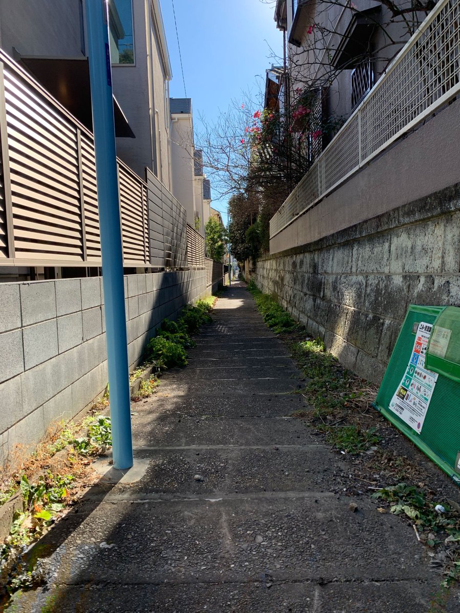 フォトグラファーの細川葉子さん @hako_tea と、同じ路地を撮ってこの違い（両方私の携帯カメラ）。もちろん一枚目が私、二枚目が細川さんです。プロすごい…！ 