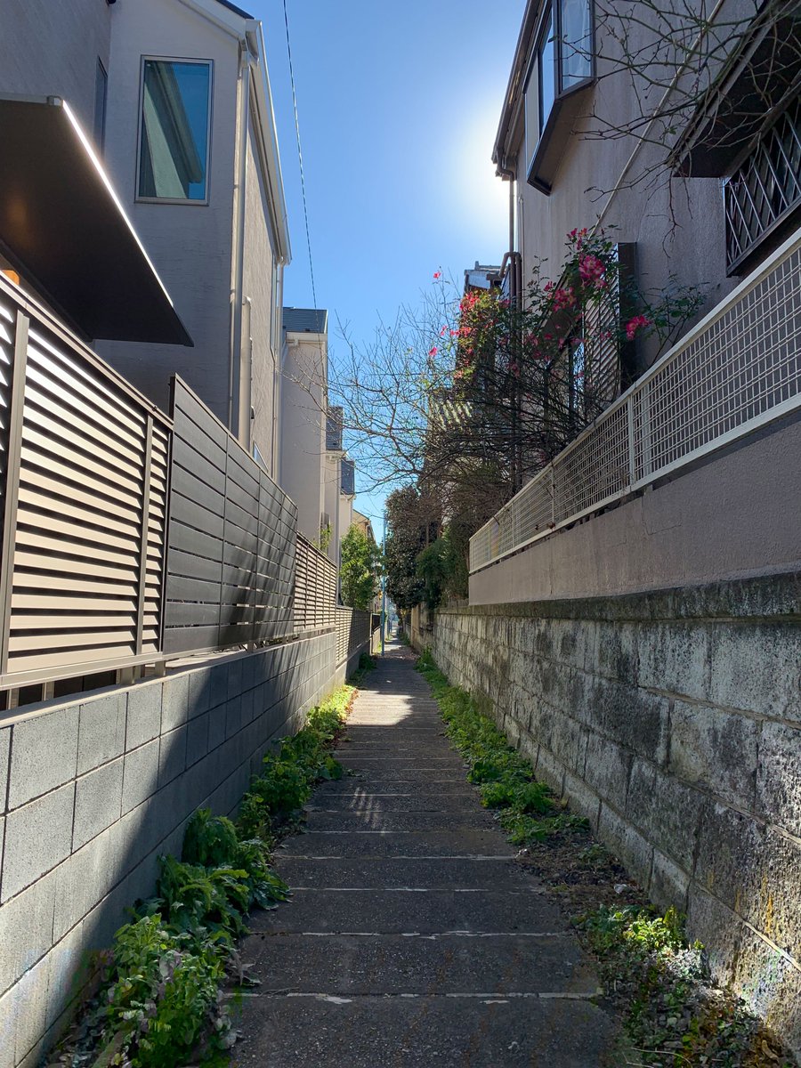 フォトグラファーの細川葉子さん @hako_tea と、同じ路地を撮ってこの違い（両方私の携帯カメラ）。もちろん一枚目が私、二枚目が細川さんです。プロすごい…！ 