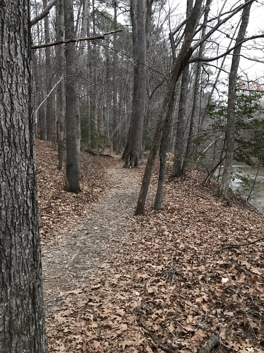 Time to hit the trails #trailrunning #ultratraining #runnc #runnaked