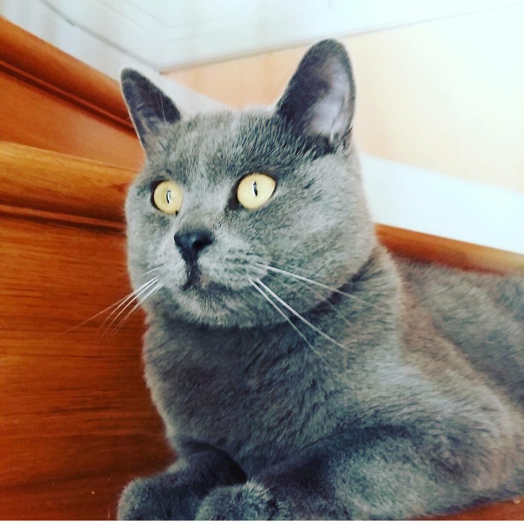 Le silence est un confident qui nous trahira jamais.
Il est notre refuge secret, notre hurlement sourd, il peut nous accueillir à l'infini.

Bluelagon