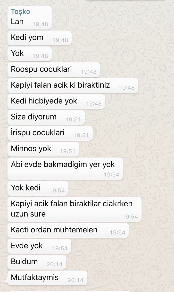 Kediler ve sahipleri (temsili değil)