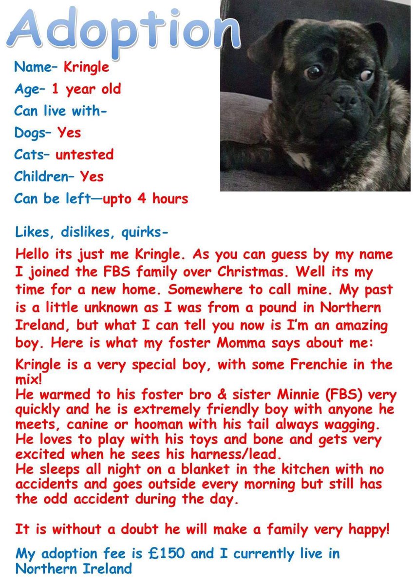 FB_Saviours's tweet photo. #adoptionpost #adoptdontshop #breedforhealthnotforwealth #freschbulldogsaviours @P_Wicks01 ๐ https://t.co/Y1PJIHj1tz