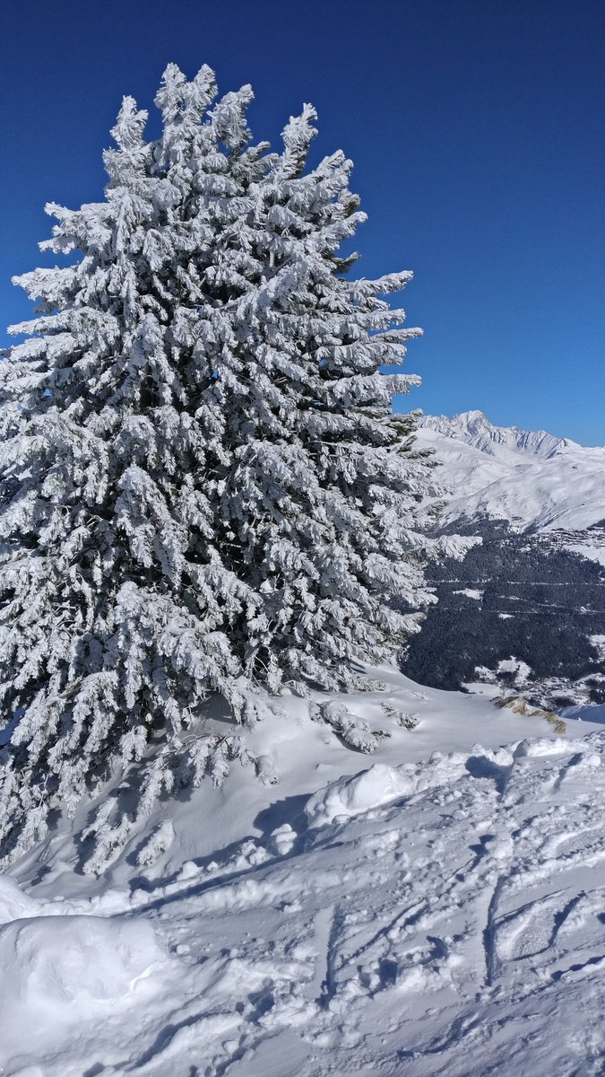 Fomayrt's tweet image. #ShotonOnePlus #OnePlusFrance 👍