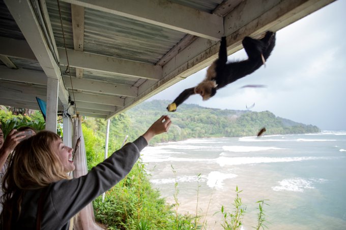 Sending all our love to @alittlewolfe (2019 @AVNMediaNetwork Best New Starlet) https://t.co/q7bmixjZ<a class="tags" href="/tag/alittlewolfe">@alittlewolfe</a><a class="tags" href="/tag/avnmedianetwork">@avnmedianetwork</a>