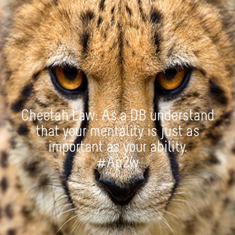 TheCoalition11's tweet photo. #Ap2w #CheetahU https://t.co/bkeCLhZNvL