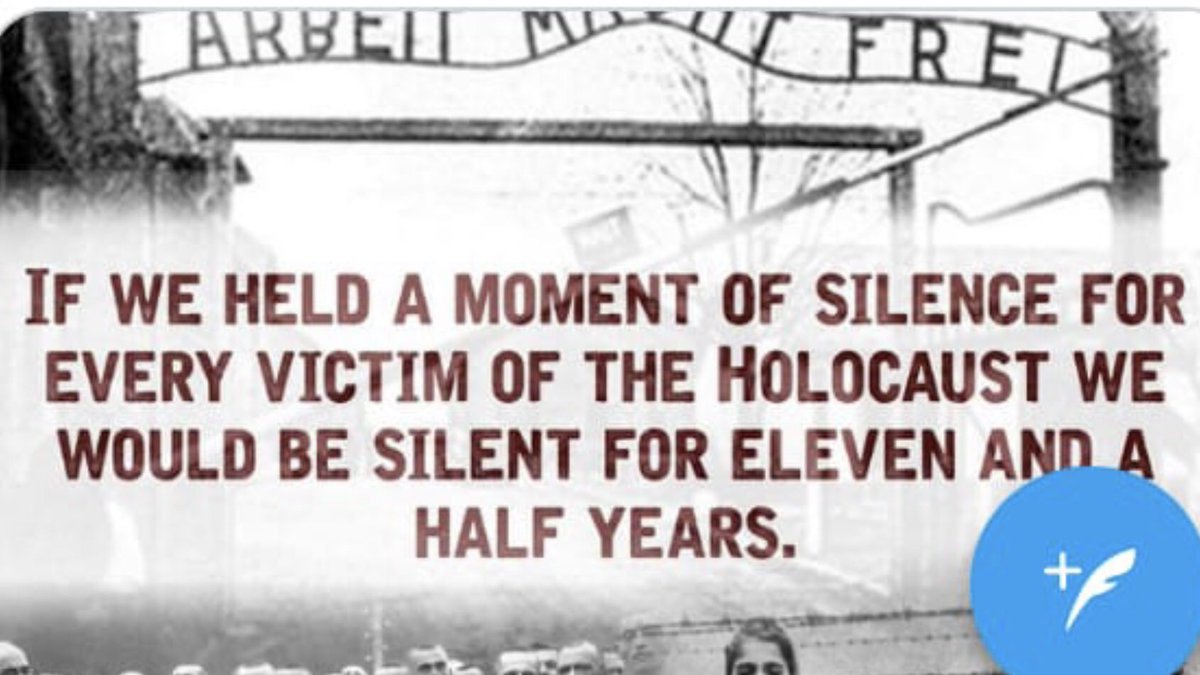 Alfie Best (@alfiebestsnr) on Twitter photo 