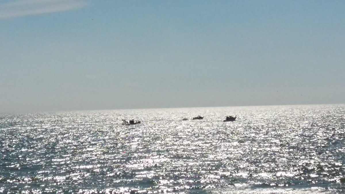 PTricoit's tweet image. VOTRE RADIO EN DIRECT DE BERCK PLAGE............................facebook.com/clairetnet.lap…

radionomy.com/fr/radio/clair…

listen.radionomy.com/clairainetradio

..clairenetradiolesite.e-monsite.com.