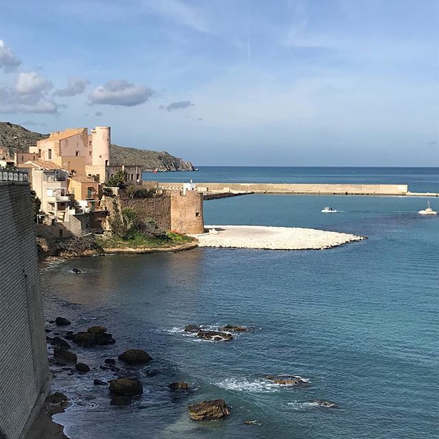 Jupeppe85's tweet photo. Chi non vive in una città di mare, non potrà mai capire così si prova a stare davanti a tutto questo 😍😍
.
.
.
#iphonepotography #photography #naturefotography #photooftheday #nature #sea #sunsetsea #golfo #mare #sky #followforfollowback #likeforfollo… https://t.co/R0Knh95lnB https://t.co/BJD2LpBnoz