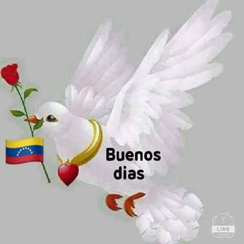 Isabel_Rada's tweet image. BUENOS DÍAS... VENEZUELA es...
 #DesafioDeTodos #UnidadSuperior #LibertadATodosLosPresosPoliticosCivilesYMilitares