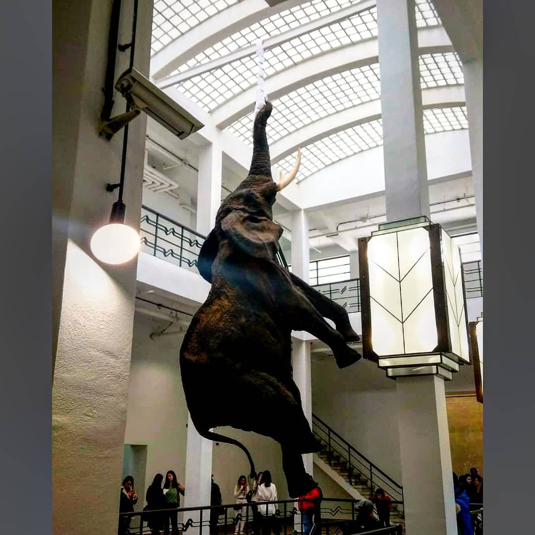 minikdoktoru's tweet photo. 1) Tony Matelli | lapses
2) Daniel Firman | loxodonta
"Fabrika'da: 10 Sanatçı / 10 Bireysel Pratik"
#danielfirman #art #sculpture #artgallery #artist #tonymatelli #hyperrealistic #exhibition #artfair #artwork #contemporaryart #istanbul #galeri #gallery #modernart https://t.co/RQhvcEexKT